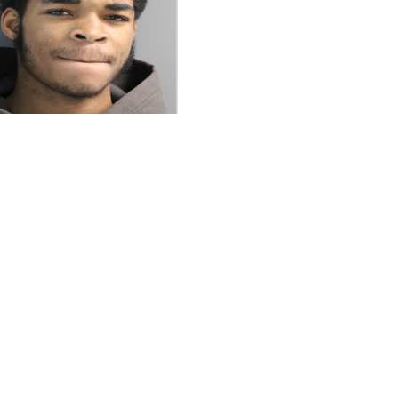 South Carolina man arrested on gun charges in Smyrna | The Latest from ...
