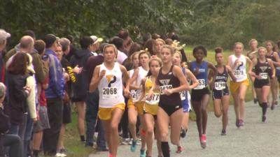 Diaa Board Takes Major Step Towards Allowing Most Sports To Resume In July Football Excluded The Latest From Wdel News Wdel Com