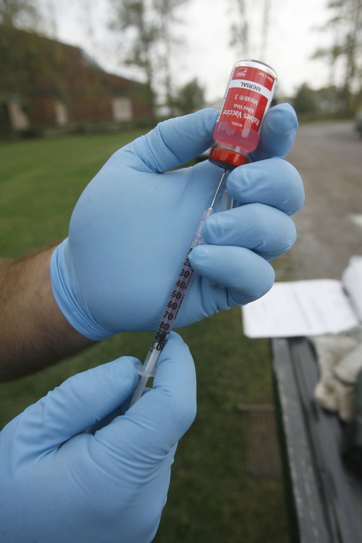 Kent County woman dies from rabies, 1st human death from disease in