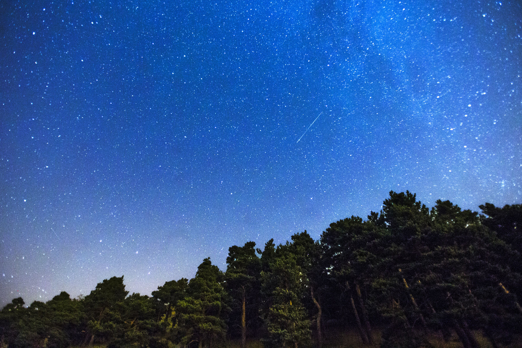 Look out for the Perseid Meteor Shower Look out for the Perseid Meteor Shower