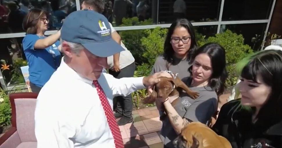 Rescue Me | Delaware names new official State Dog Rescue Me | Delaware names new official State Dog