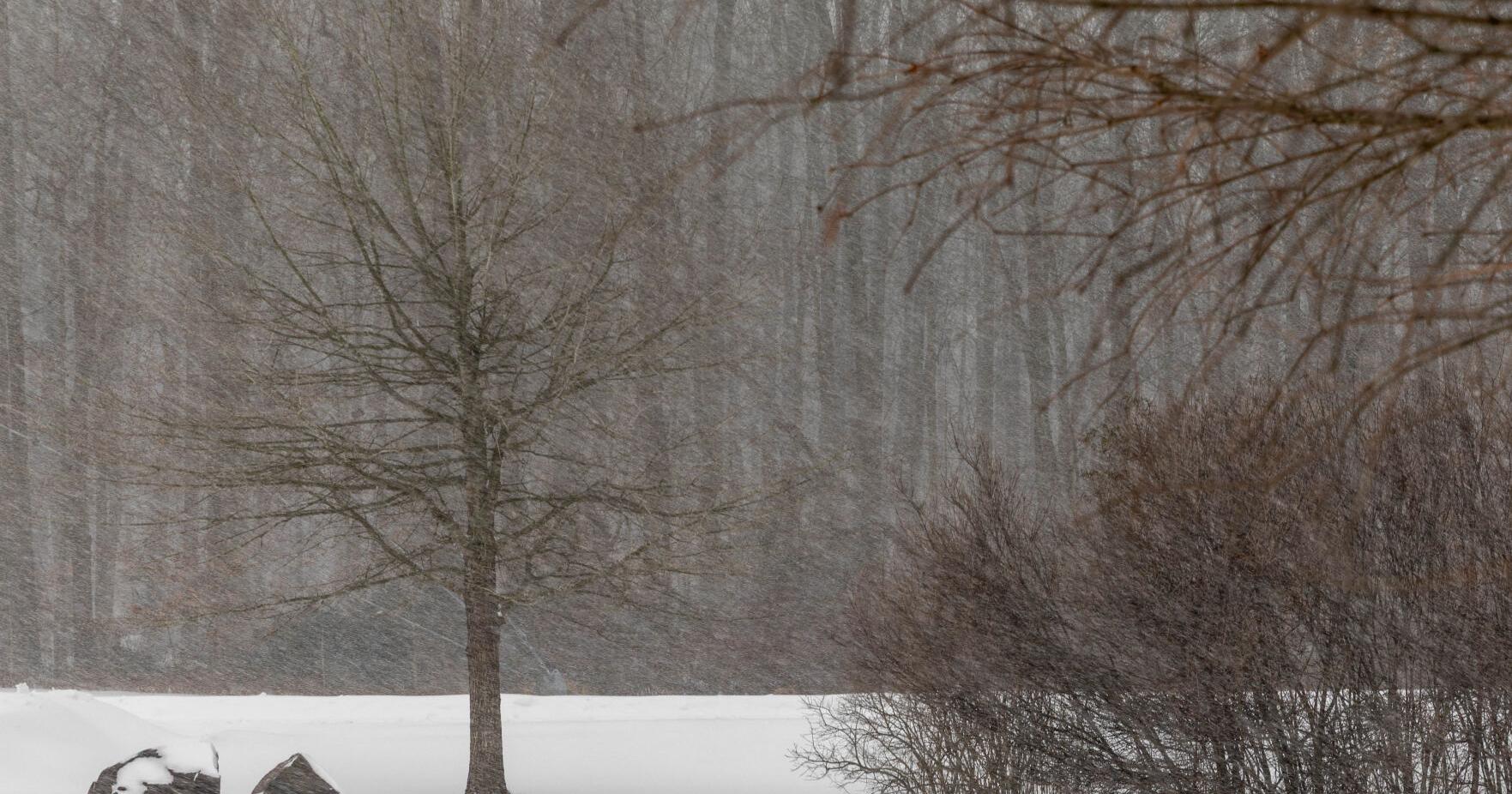 Delaware State Offices to reopen Tuesday , Kent County delayed until 10 a . m . 