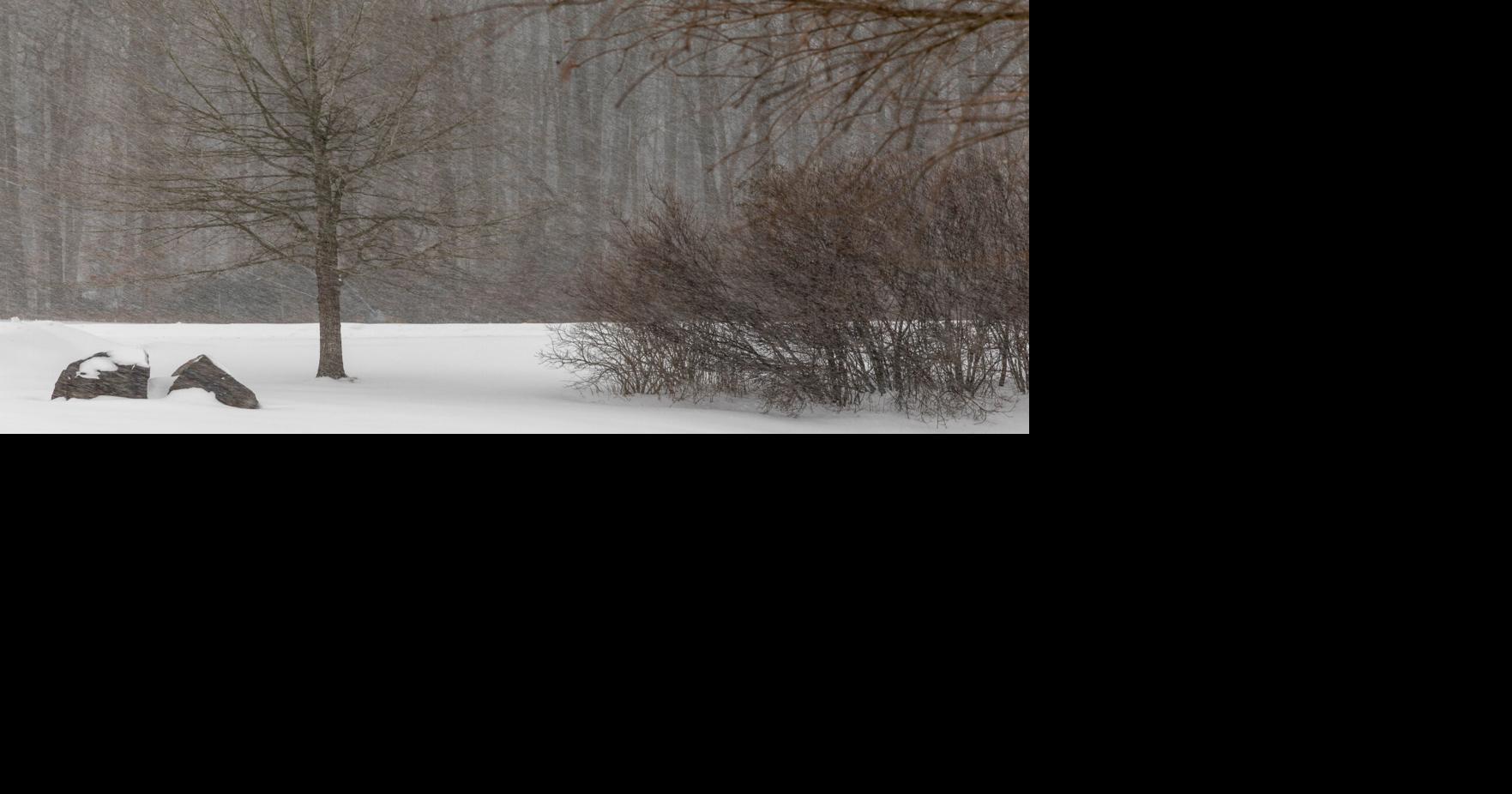 Delaware State Offices to reopen Tuesday, Kent County delayed until 10 a.m.