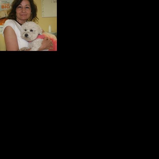 Faithful Friends founder’s dog killed in hit-and-run crash | The Latest from WDEL News