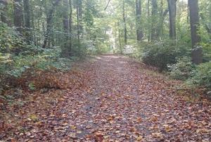 Closure for part of Brandywine Creek State Park Trail