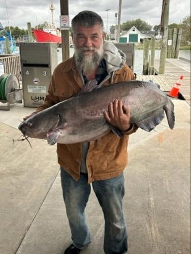 Tooele man sets state spearfishing record with 32-pound tiger muskellunge