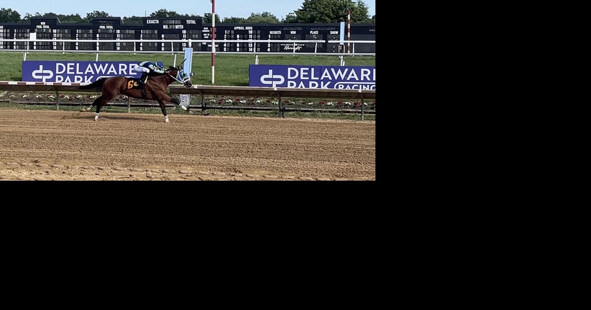 Record-setting day for Delaware Park topped with a 'Big Cuddle' in its Derby