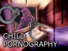 Previously convicted sex offender pleads guilty to possessing ...