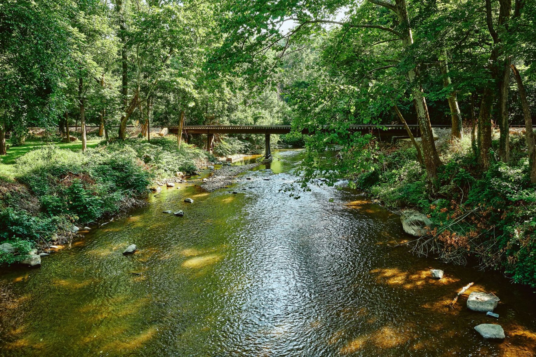DNREC study reveals extent of forever chemicals in surface water