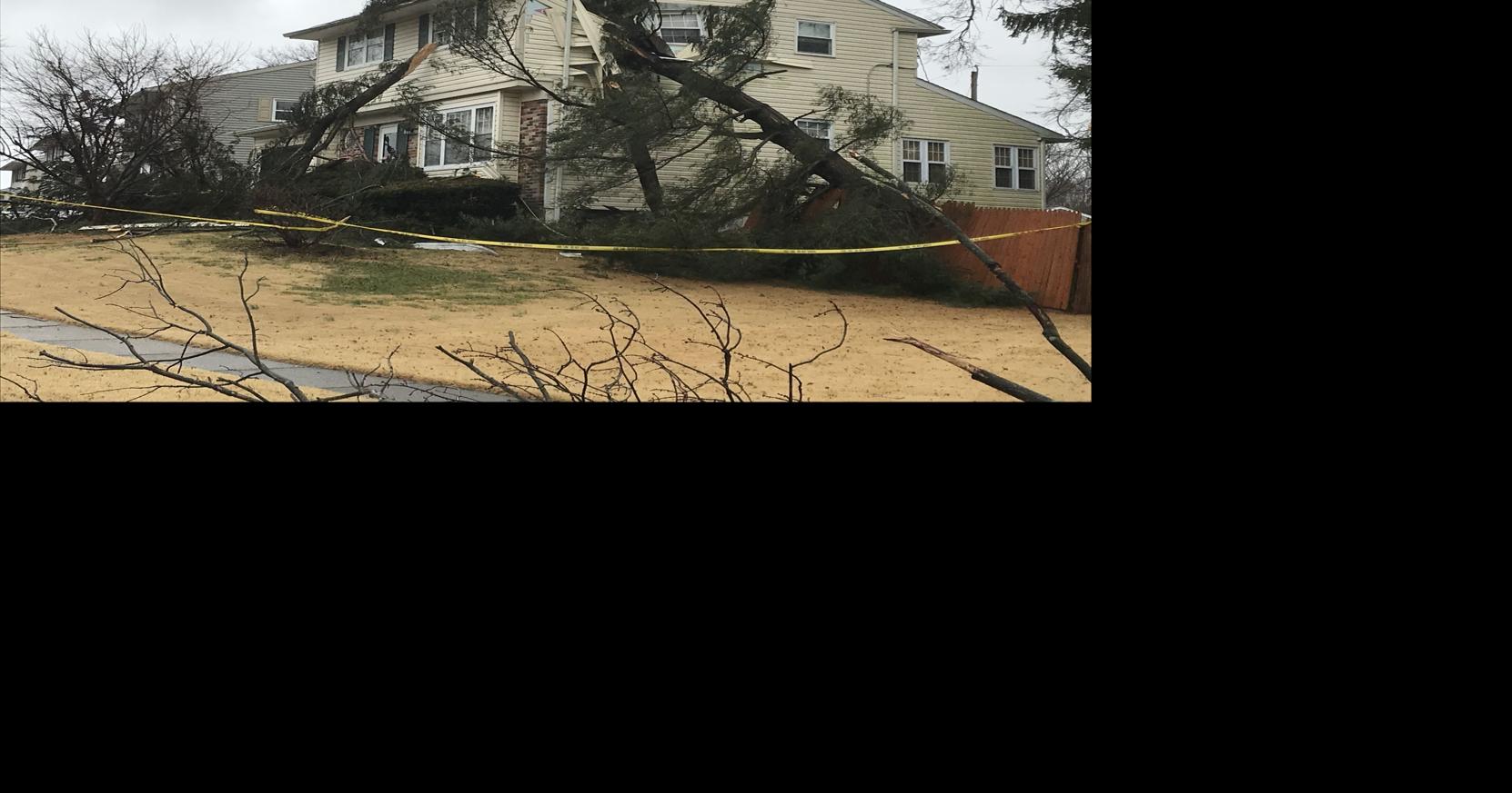 Trees down, power out after powerful storm with high winds moves ...