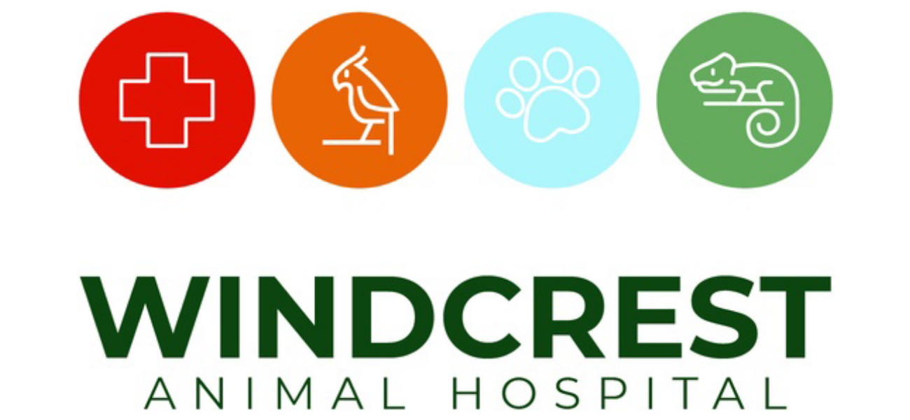 Wilmington Flower Market Site