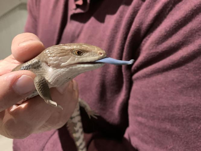 Kentucky Science Center Spooky Halloween