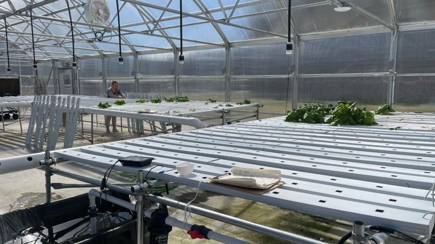 Carroll County Hydroponic Farm