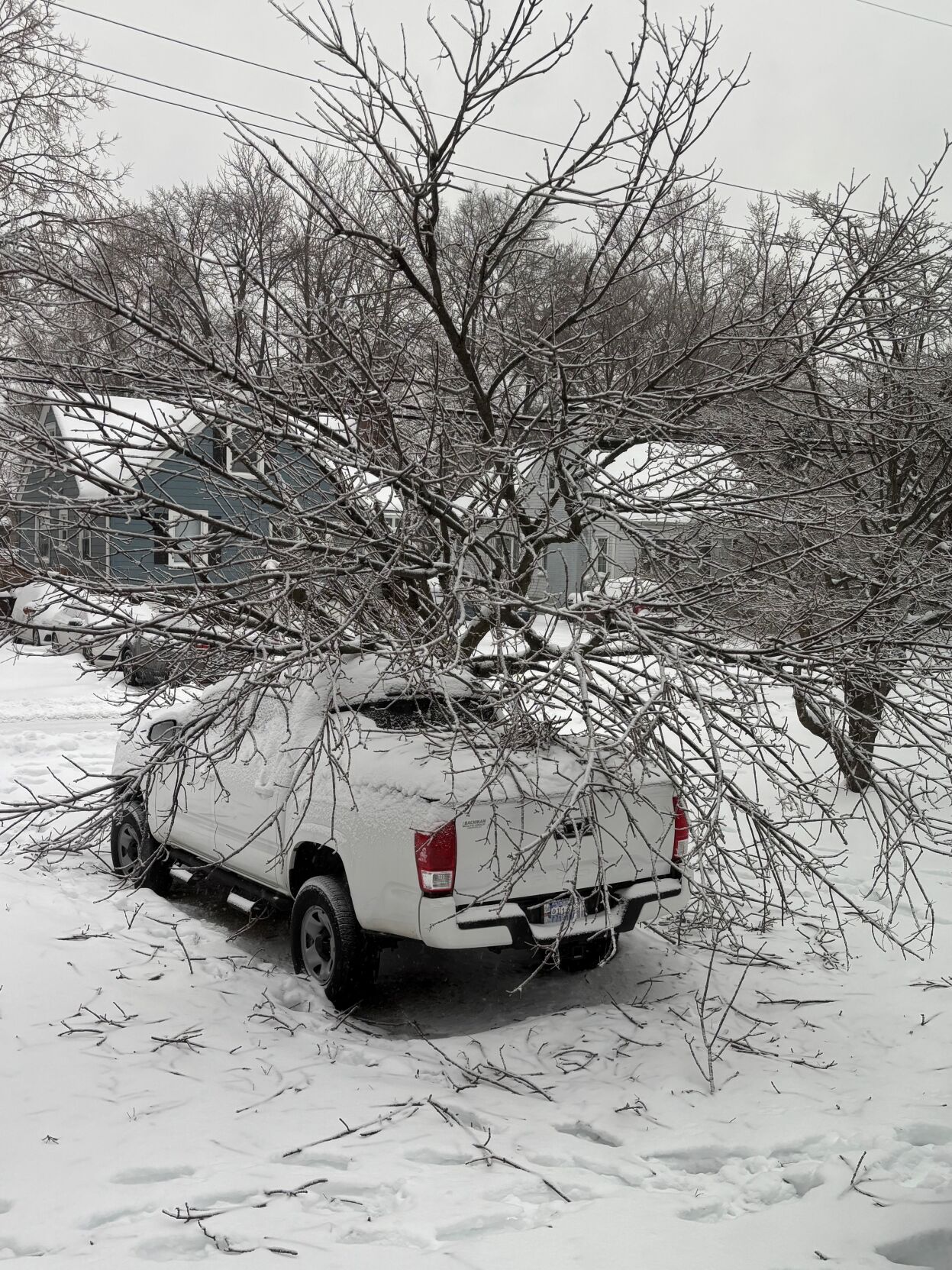ICE - ST MATTHEWS TRUCK - JEFF RAMSEY 1-6-2025.jpg