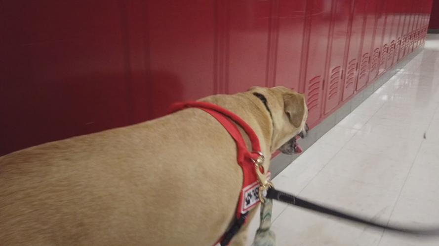 Pleasant Ridge Park High School eases student stress with newest addition