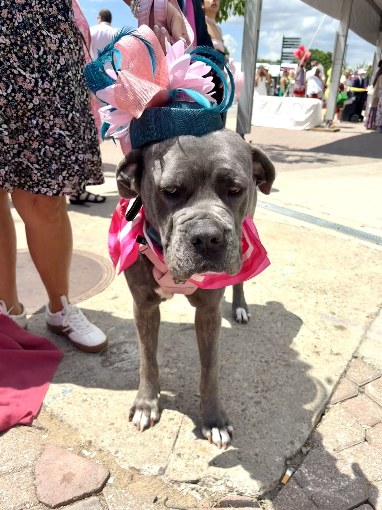 Kentucky Oaks 2026