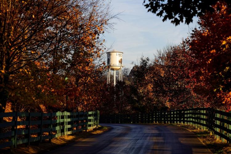 BUFFALO TRACE DISTILLERY  (4).jpg