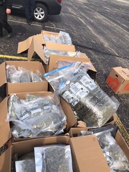 Pot Bust Hendricks County - 3-13-19