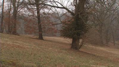 Seminary land near Cherokee Park