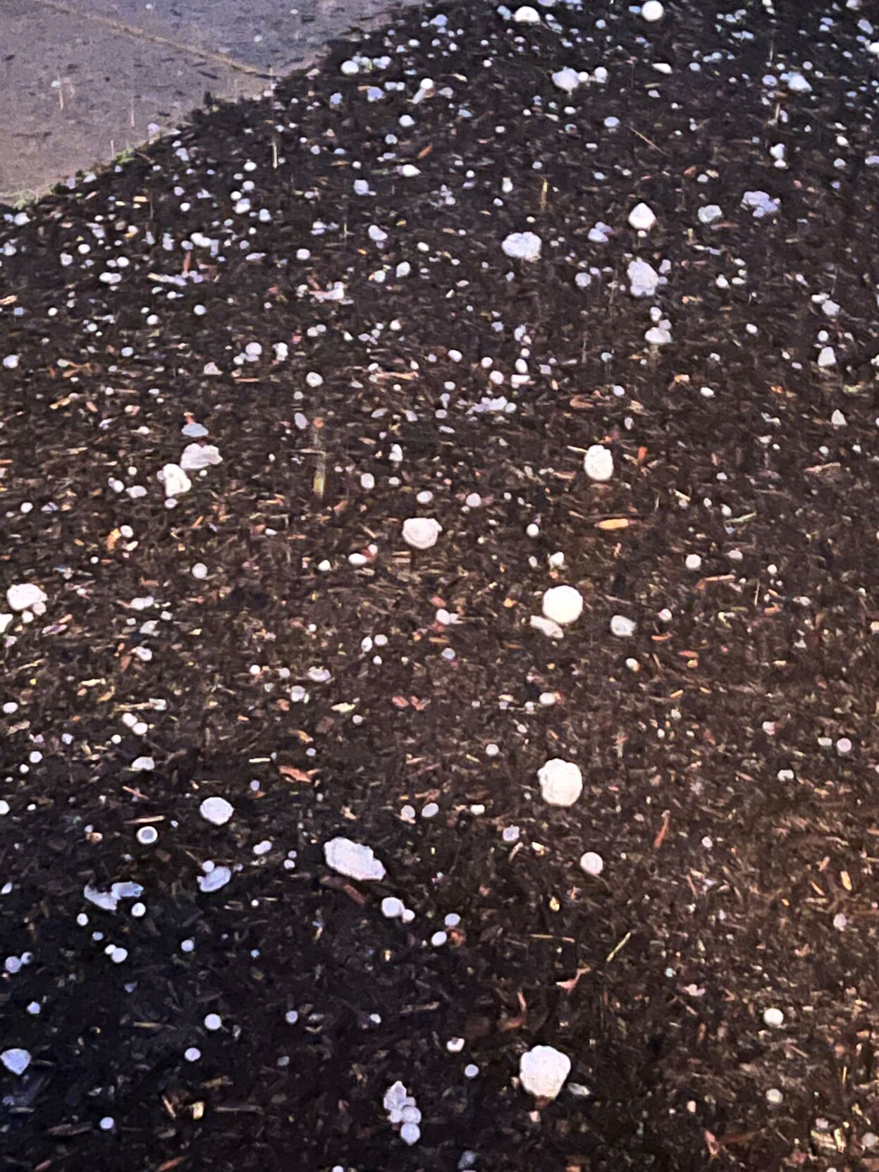 Golf ball sized hail near casino