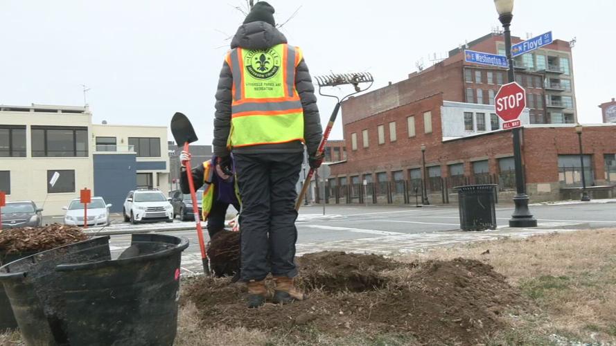LOU MLK SERVICE PLANTING.jpeg