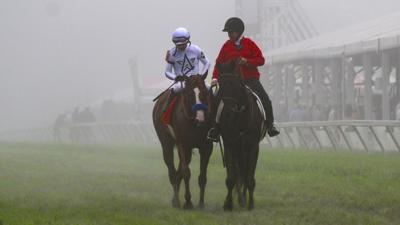 Justify wins Preakness