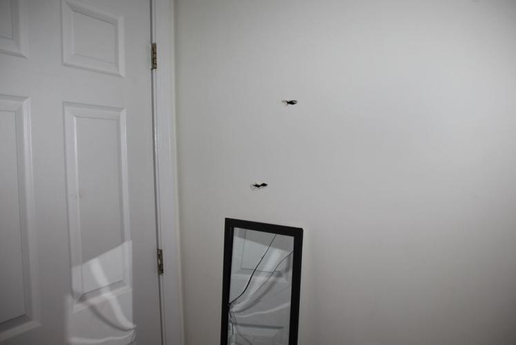 Bullet holes on the wall of Breonna Taylor's apartment
