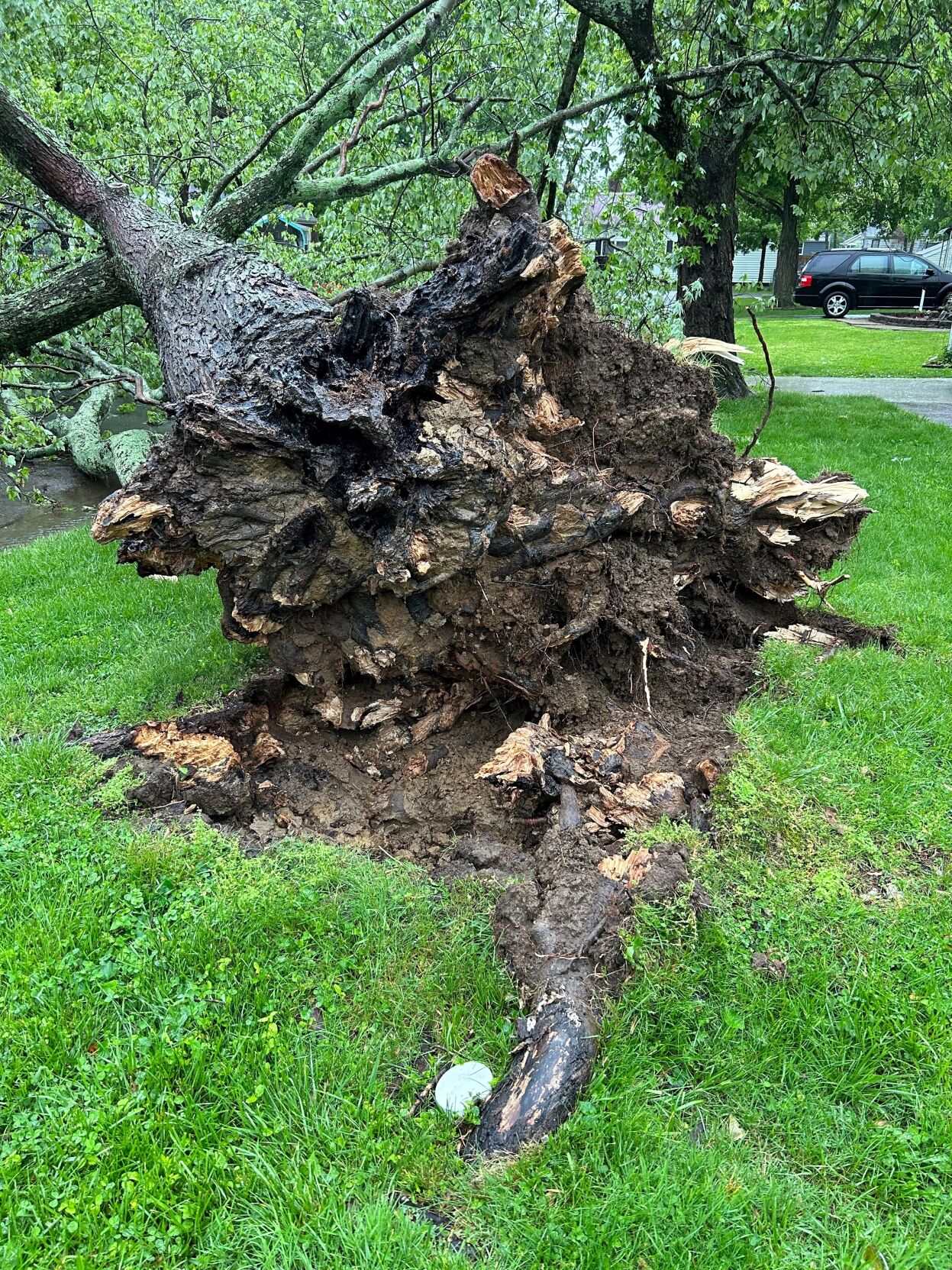 Storm damage near New Albany.jpg