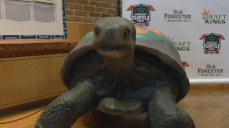TURTLE RACE