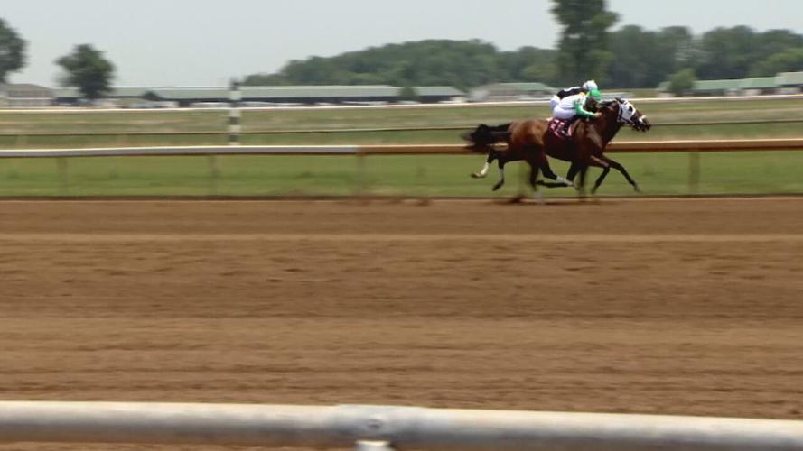 Racing at Ellis Park (1).jpeg