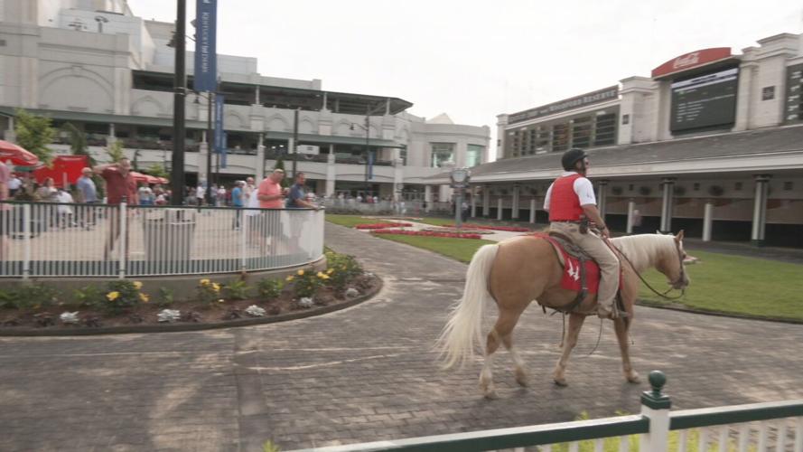 DOWNS AFTER DARK 10 .jpeg