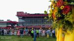 Crack the Code: WDRB's Steve Andress makes his Preakness Stakes picks