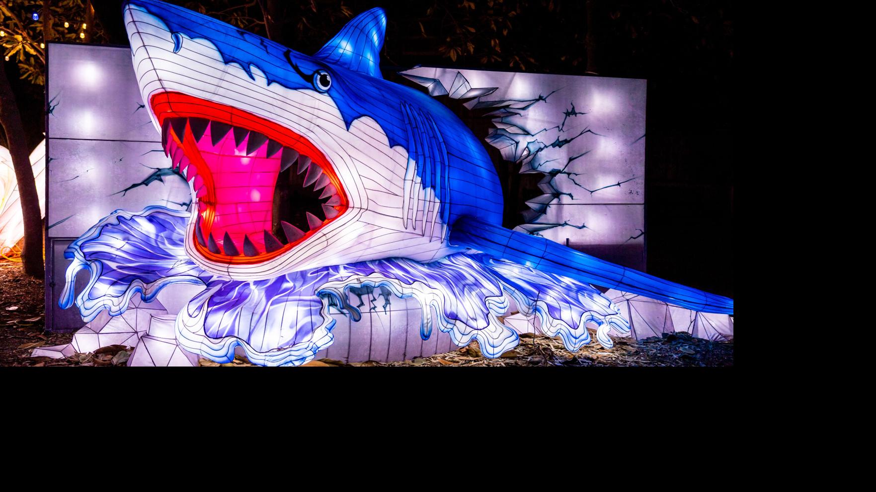 Wild Lights 2024 is back for a 5th year at the Louisville Zoo. Here's