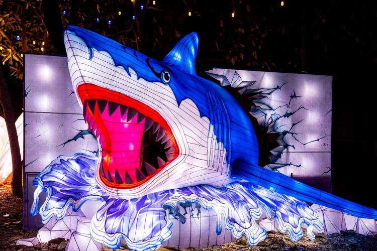 LOUISVILLE ZOO - WILD LIGHTS 2024  (1).jpg