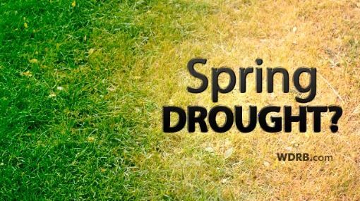 spring drought.JPG