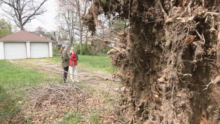 Wdrb Exploding Tree 'God's got us' | Soon-to-be married couple minutes away from home when ...
