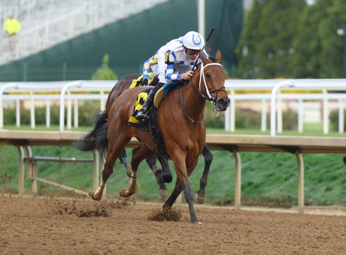Horse charges down final stretch.JPG