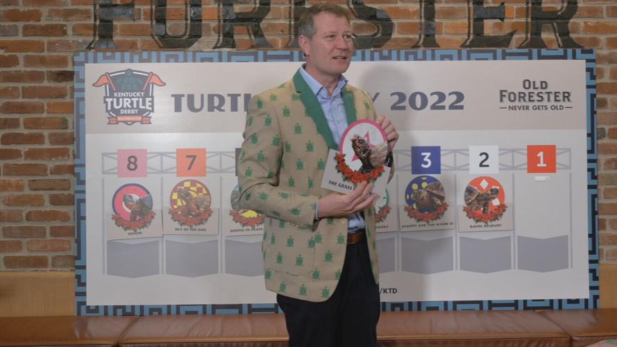 TURTLE RACE