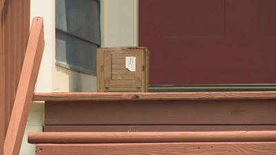 Package near front door.jpeg