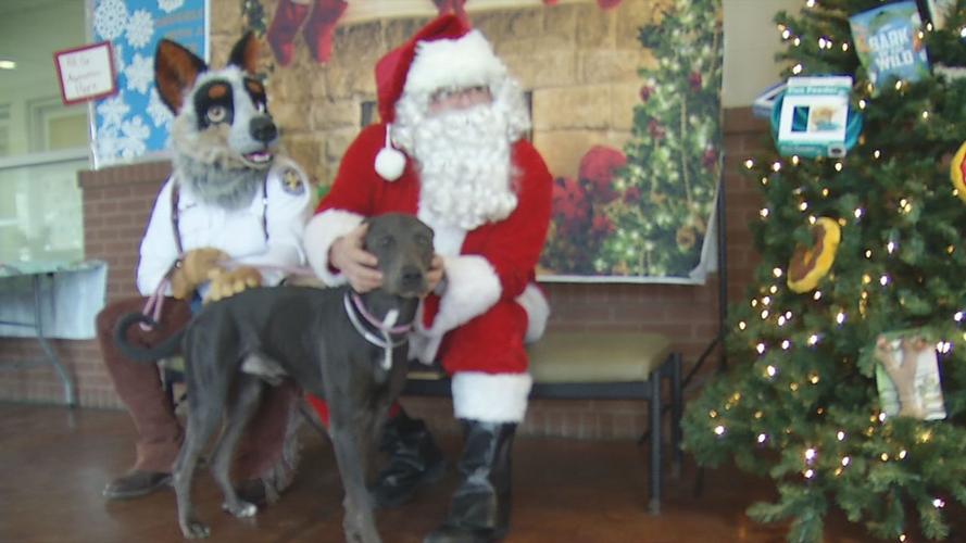 SANTA PICS WITH PETS 12-15-19 (6).jpg