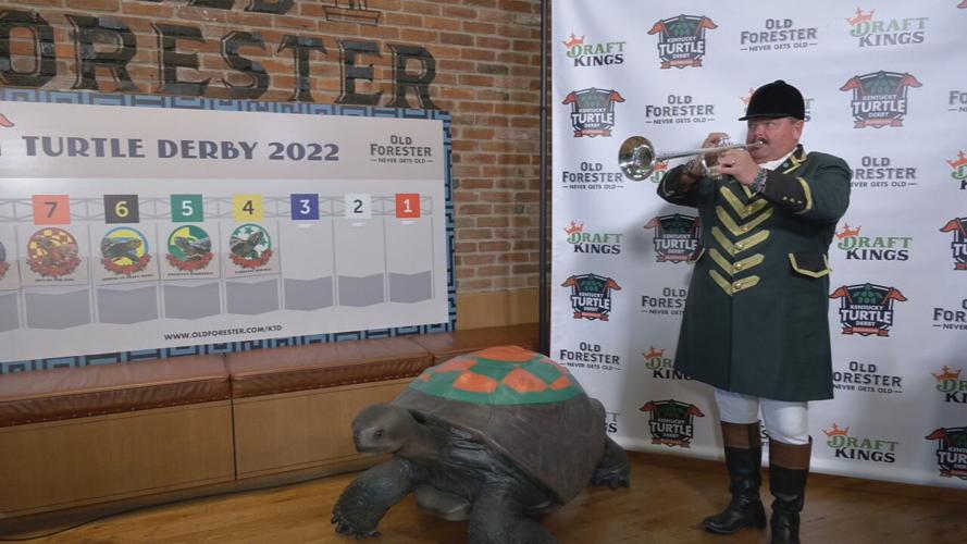 TURTLE RACE