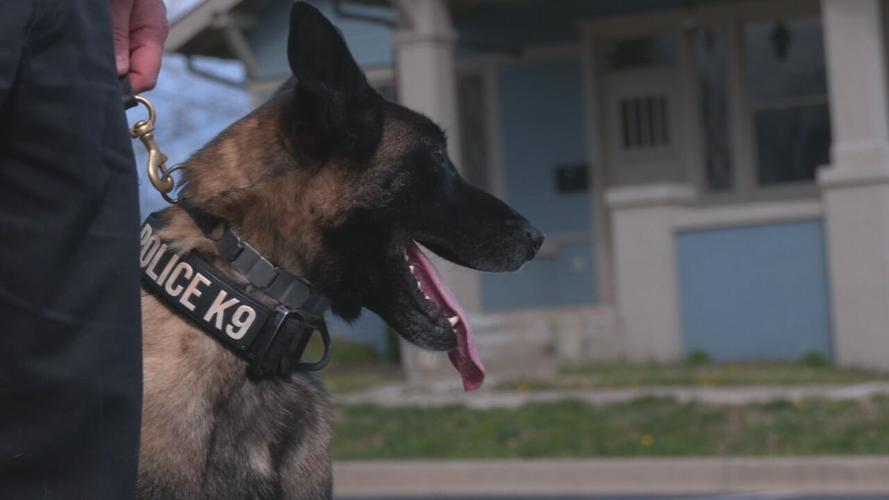 Shelbyville K9