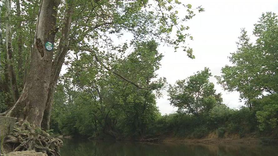 Floyds Fork.jpg