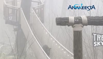 Bear spotted on bridge at Anakeesta theme park in Gatlinburg, in March 2021