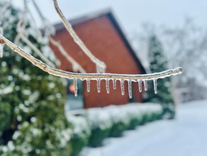 ICE - Brandi Stone 1-6-2025.jpg