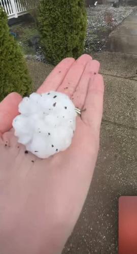STORM - HAIL - BIG DOE RUN - JEFFERSON CO INDIANA - SARA ALEXANDER 3-14-2024.jpg