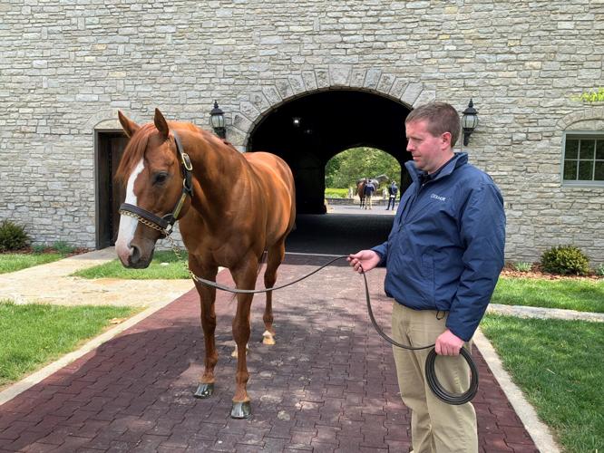 retired derby winners 3