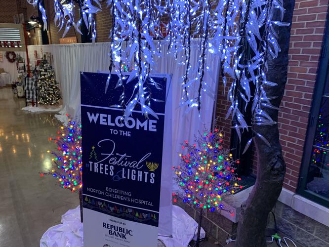FESTIVAL OF TREES AND LIGHTS 11-11-2022 (4).JPG
