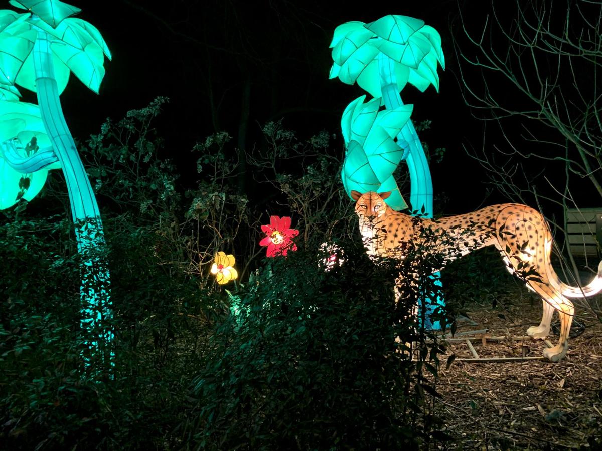 Louisville Zoo extends its Wild Lights: Asian Lantern Festival again | News | www.bagssaleusa.com