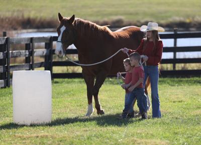 Meet the Horses event at Veteran's Club